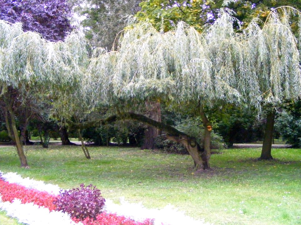 CIECHOCINEK, AB. 037
