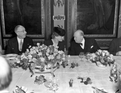 Churchill in Den Haag, Bestanddeelnr 901-7349