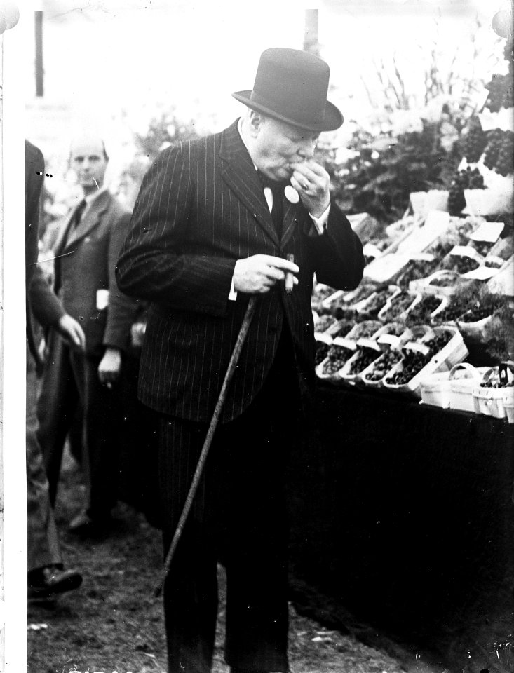 Churchill bezoekt fruittentoonstelling, Bestanddeelnr 902-8537
