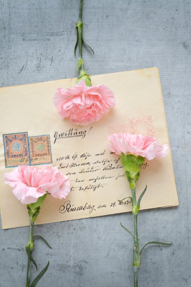 Cut flowers font receipt