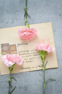 Cut flowers font receipt