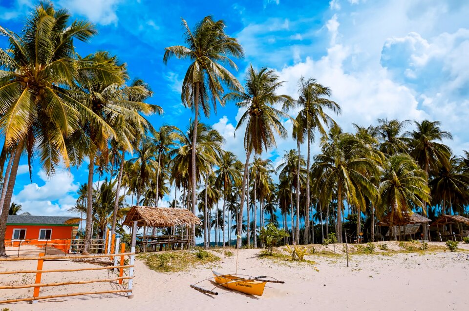 Tropics tropical beach