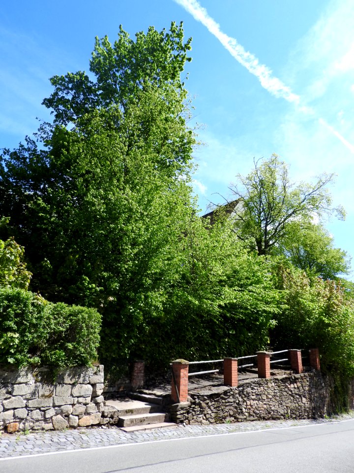 Church Molbitz, Neustadt-Orla 17