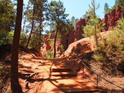 Sand roussillon pine forest