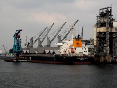 Cielo Di Cartagena IMO 9695640, Vlothaven Port of Amsterdam pic1