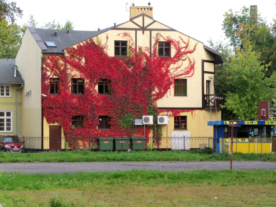 CIECHOCINEK, AB. 079