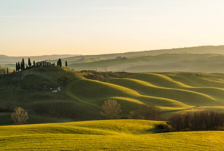 Green landscape sunset