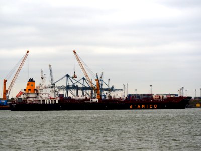 Cielo Di New York (ship, 2014) IMO 9669665 Port of Antwerp