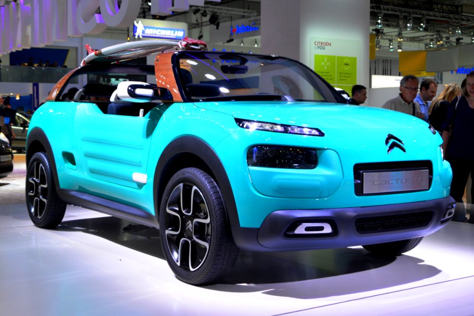 Citroen Cactus M. Spielvogel 2