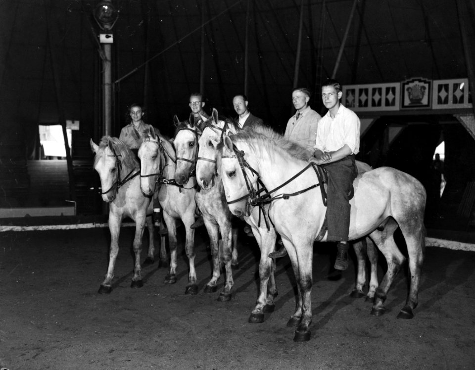Circus Strassburger, Bestanddeelnr 901-8757