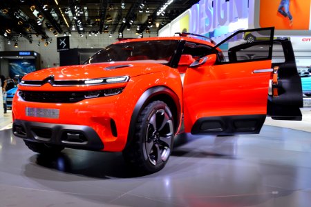 Citroen Aircross. Spielvogel 1