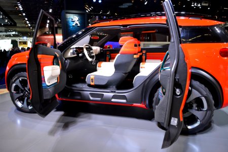 Citroen Aircross. Spielvogel 3