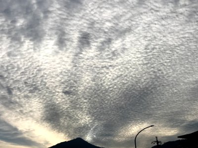 Cirrocumulus cloud Kyoto 20200528