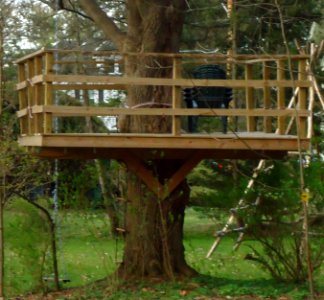 City of Norwich in New York State 14 treehouse