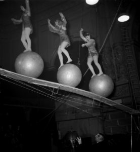 Circus Strassburger diverse opnamen, Bestanddeelnr 904-9389