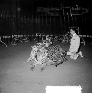 Circus Strassburger Amsterdam, Bestanddeelnr 906-2125