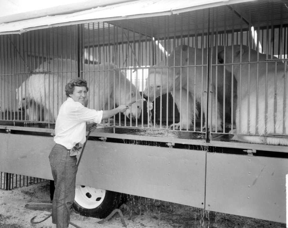Circus Sarrasani in Amsterdam aan J van Galenstraat De ijsberen, Bestanddeelnr 915-4043