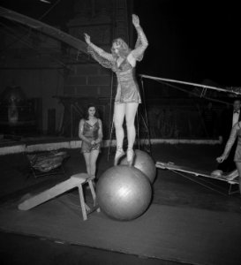 Circus Strassburger diverse opnamen, Bestanddeelnr 904-9385