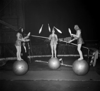 Circus Strassburger diverse opnamen, Bestanddeelnr 904-9388