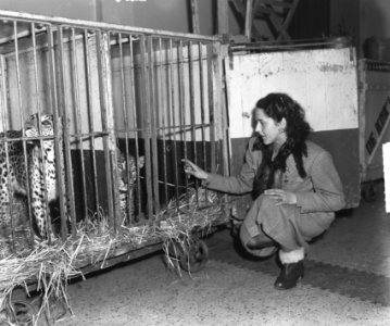Circus Strassburger . panters met dompteuse Erika Wijss, Bestanddeelnr 903-1423