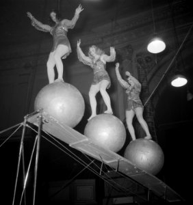 Circus Strassburger diverse opnamen, Bestanddeelnr 904-9392