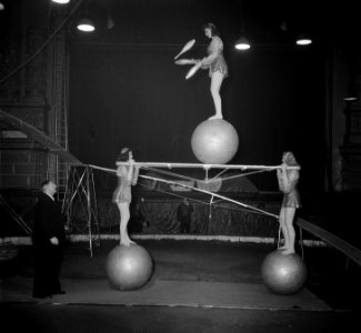 Circus Strassburger diverse opnamen, Bestanddeelnr 904-9387