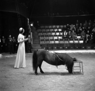 Circus Strassburger, Bestanddeelnr 903-1505