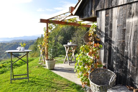 Southern styria wine autumn