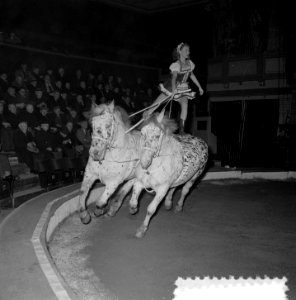 Circus Strassburger Amsterdam, Bestanddeelnr 906-2118