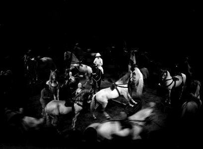 Cirque Mediano paardencarousel, Bestanddeelnr 255-8706