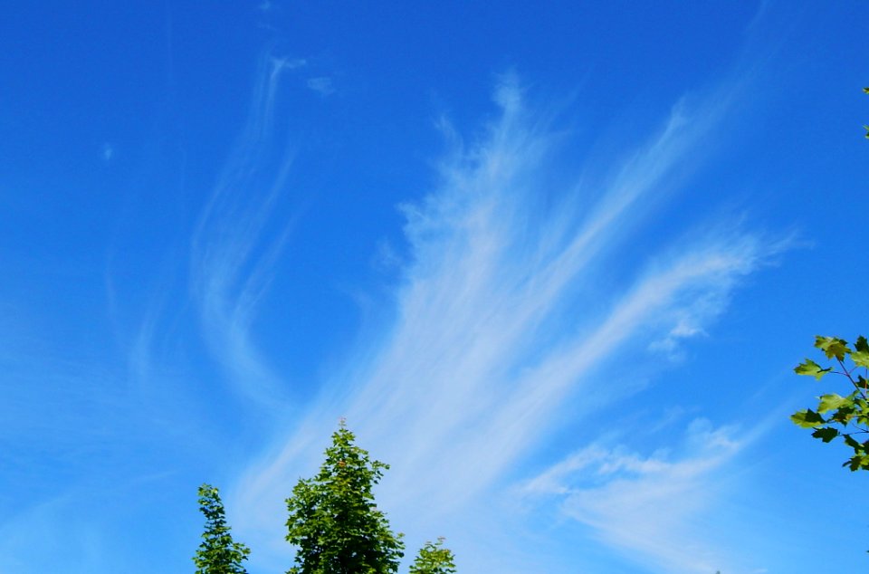Cirrus cloud over Federal Way, WA 2