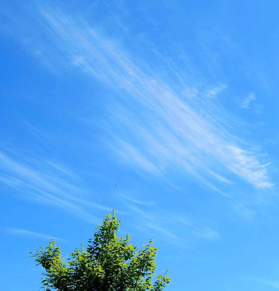 Cirrus cloud over Federal Way, WA 5