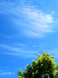 Cirrus cloud over Federal Way, WA