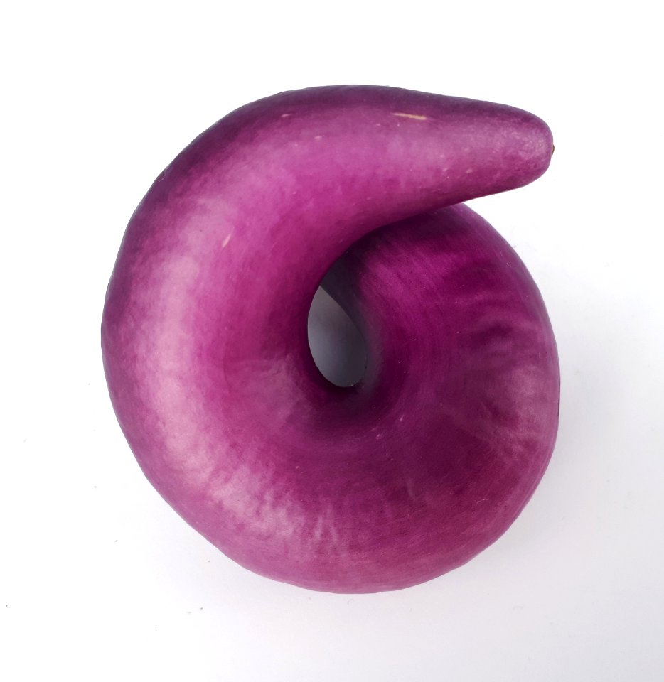Circular Orient Charm eggplant 2017 A1
