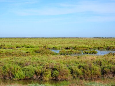 Bogs saltwater-lagoon lagoon