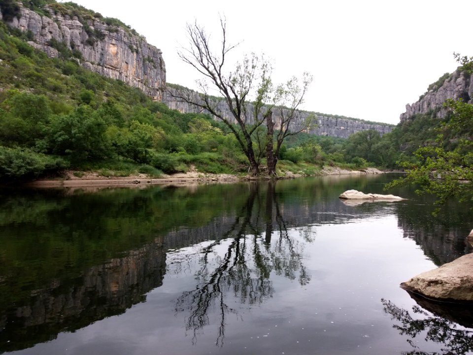 Cirque de Gens - Arbre au bord de l'Ardèche