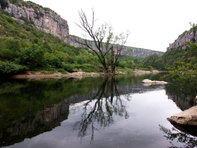 Cirque de Gens - Arbre au bord de l'Ardèche