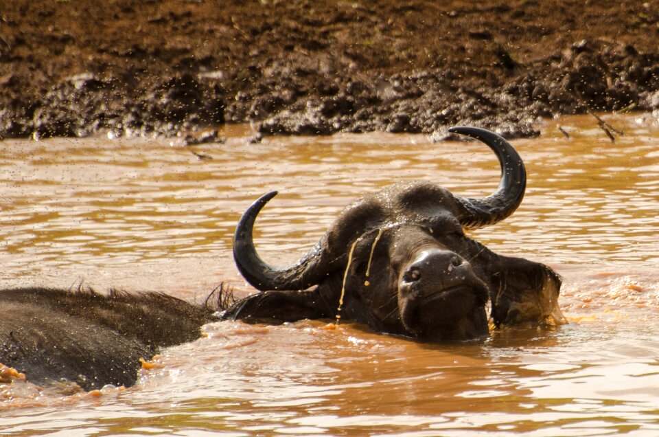 South africa wilderness national park
