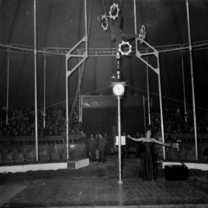 Circus Mikkenie in Turnhout Belgie, Bestanddeelnr 904-6920