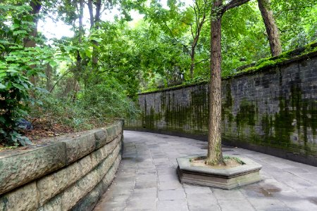 Circular mound - Wuhou Shrine - Chengdu, China - DSC05502
