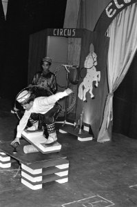 Circus Elleboog in nieuwe De La Mar theater, Bestanddeelnr 919-9201