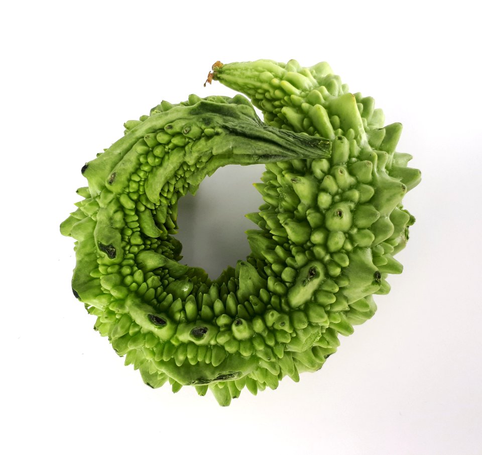 Circular karela 2017 A