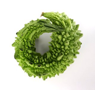 Circular karela 2017 A