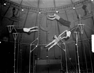 Circus Mikkenie. Trampoline. The 4 Airways, Bestanddeelnr 903-0803