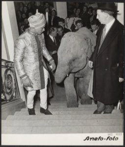 Circus Mikkenie heeft veel succes in Brussel. Frans Mikkenie en Sabu, de dompteu, Bestanddeelnr 062-0131