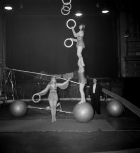 Circus Strassburger diverse opnamen, Bestanddeelnr 904-9386