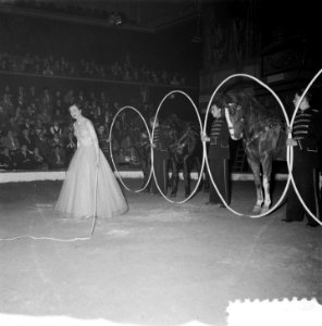 Circus Strassburger Amsterdam, Bestanddeelnr 906-2124