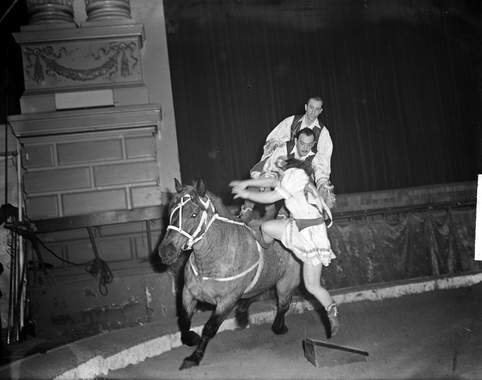 Circus Strassburger, Bestanddeelnr 903-8217