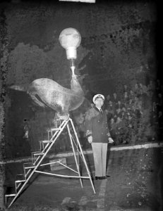 Circus Strassburger, Bestanddeelnr 903-8218