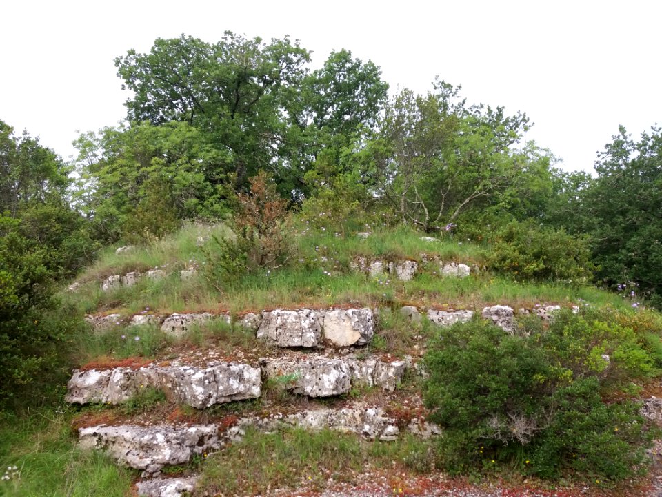 Cirque de Gens - Arbres et rochers